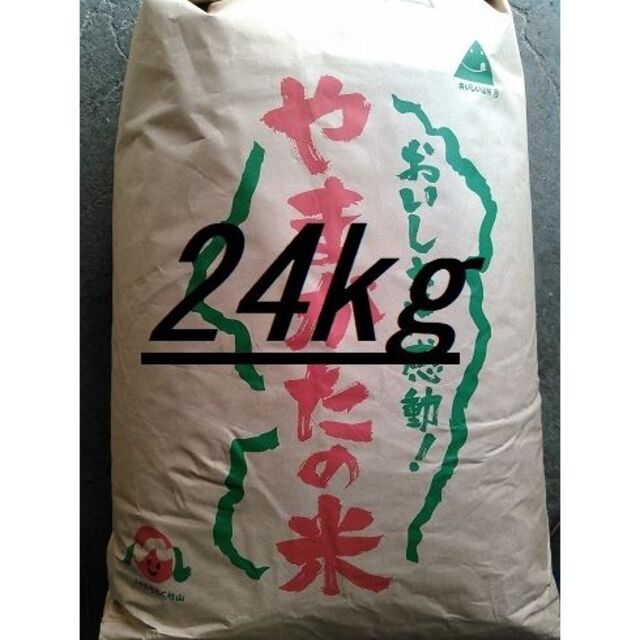 シン・ザギマウンテンクォーツ64/ツイン/芸術的/グレー/黒針入り/巨大