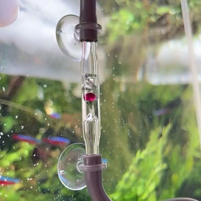 新品・未使用品ADAカボーションルビー