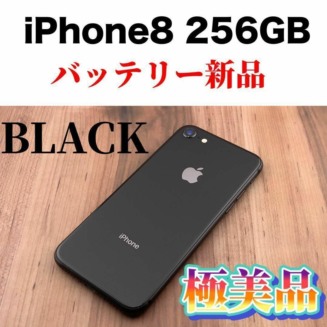 左 iPhone8 256GB 右 iPhone6 64GB 黒い丸あり 左 iPhone8 256GB 右