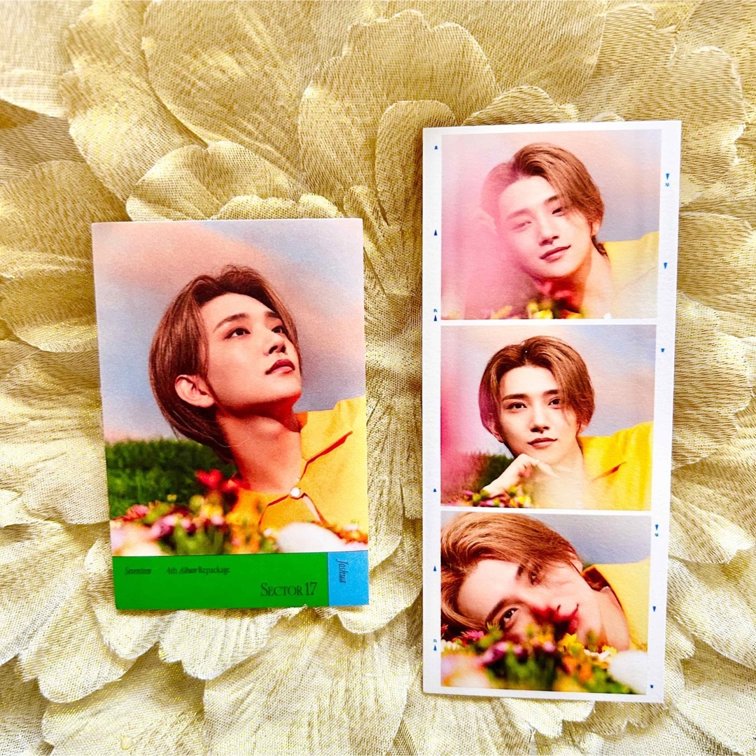 SEVENTEEN DREAM ラキドロ トレカ ホシ ジュン ミンハオ ディノ