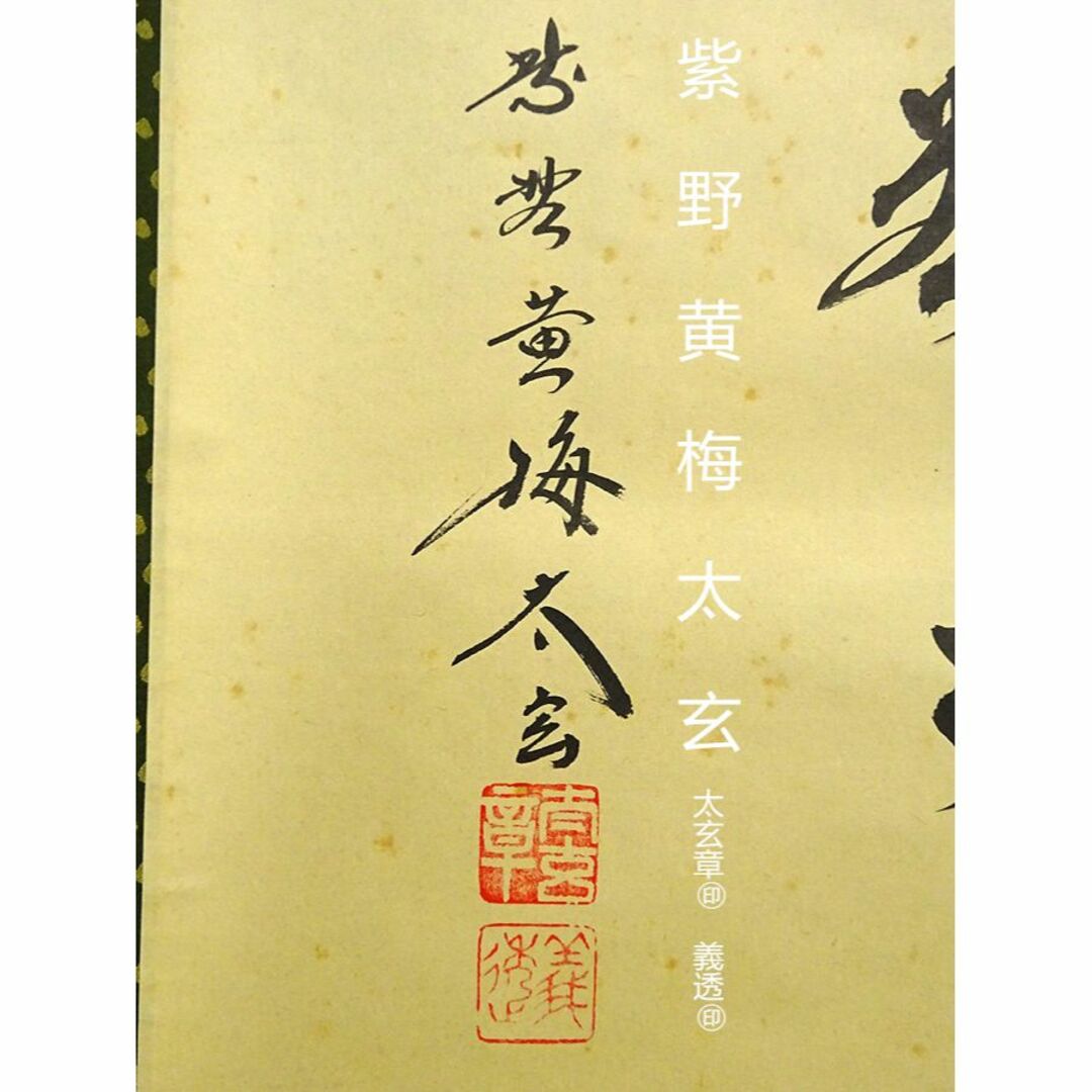 3934 小林太玄 「南無阿弥陀佛」共箱 肉筆 紙本 書 掛軸 大徳寺 禅語