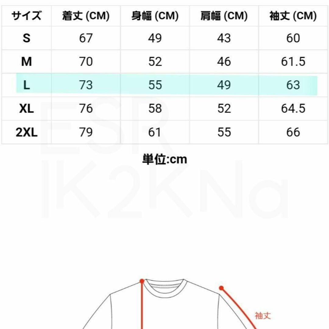 THE RAMPAGE - 【新品】長谷川慎 着用同型 長袖Tシャツ NEW ERA