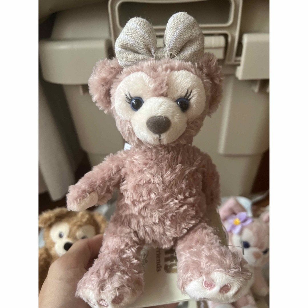 公式】香港ディズニー 2017年冬服 ダッフィー＆シェリーメイ