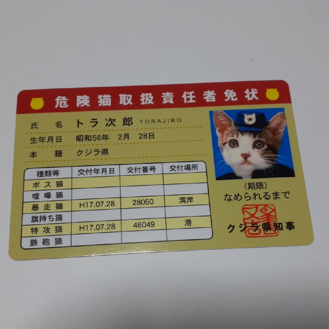 なめ猫カード 価格交渉受付中 なめねこ なめ猫カード 価格交渉受付中