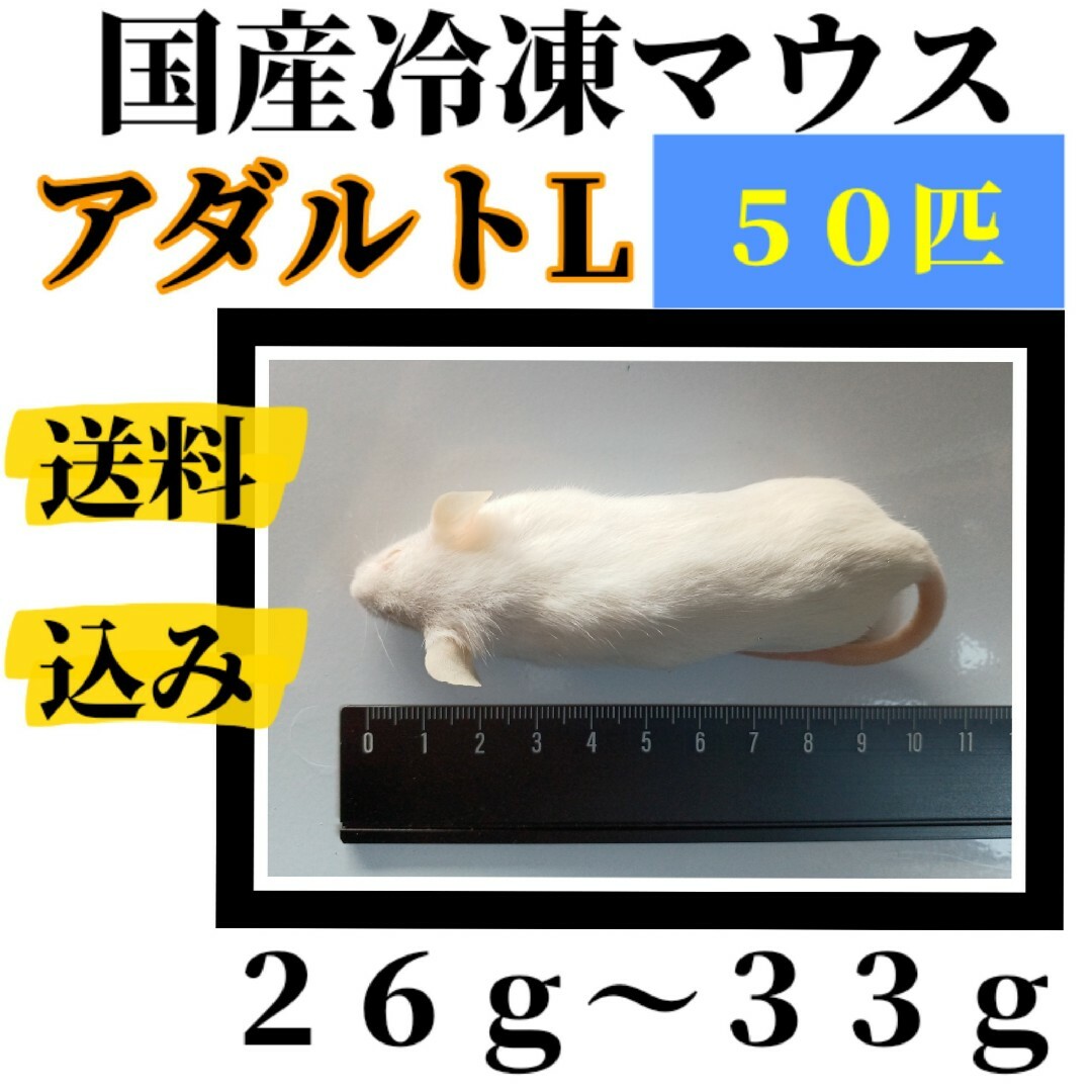 冷凍アダルトマウス ML 50匹