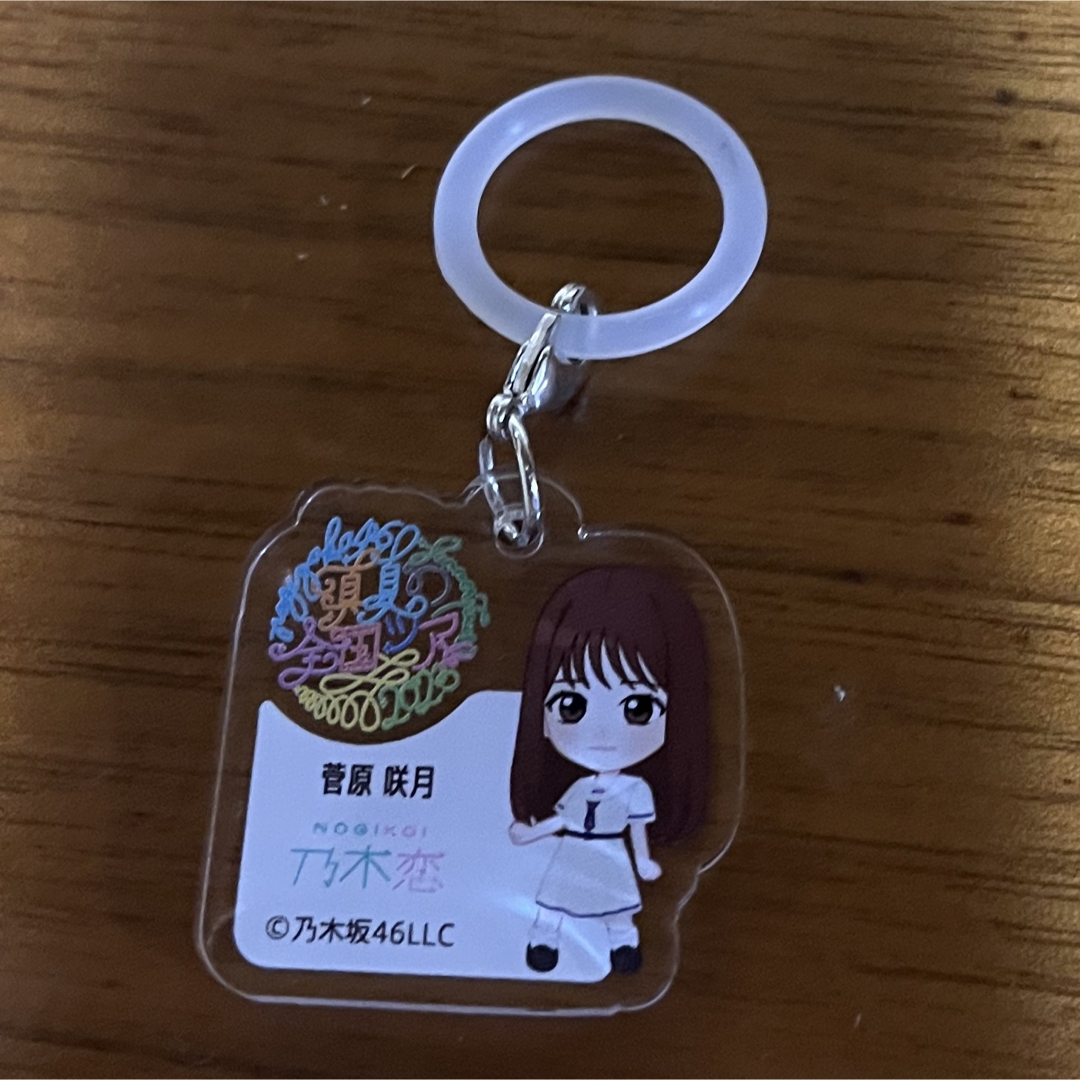 乃木坂46 真夏の全国ツアー2023 菅原咲月全身アクリルキーホルダー30個
