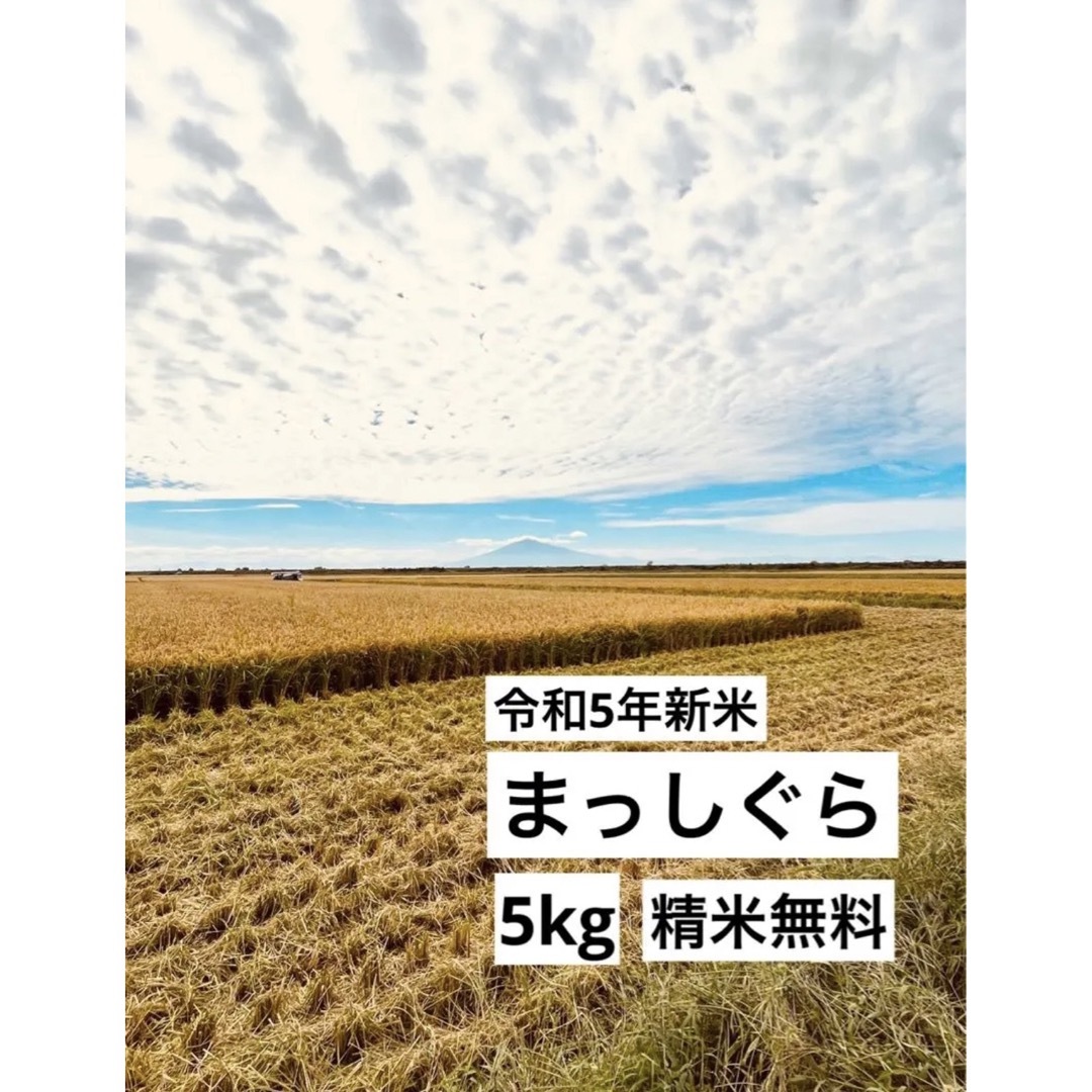 Re:ゼロから始める異世界生活 16巻〜42巻 購入 聖域編終了後〜最新
