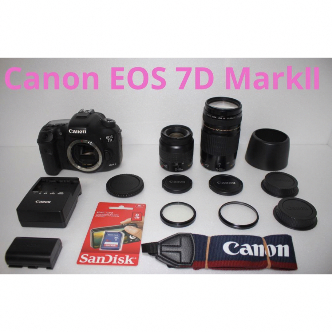 Canon EOS 80D/ダブルレンズセット/EF28-80/EF75-300 CANON EOS 80D