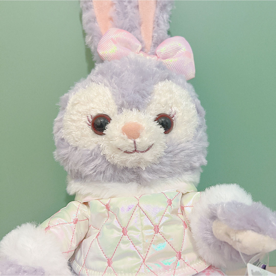 レア！ステラ・ルー香港ダッフィーウィンターSSサイズ ぬいぐるみ