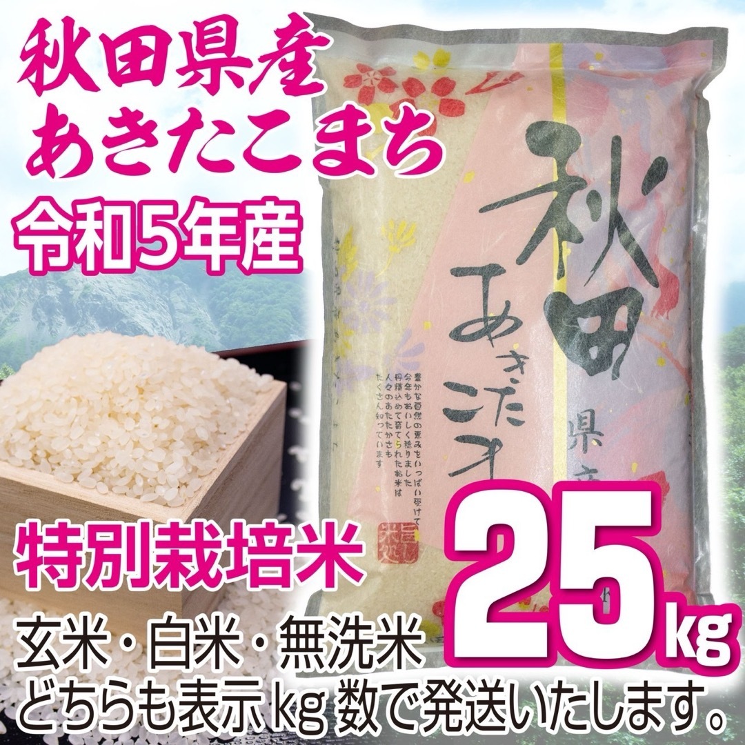 NEWMAN ニューマン ガイドパイプ付き シルバー 回転繰り出し