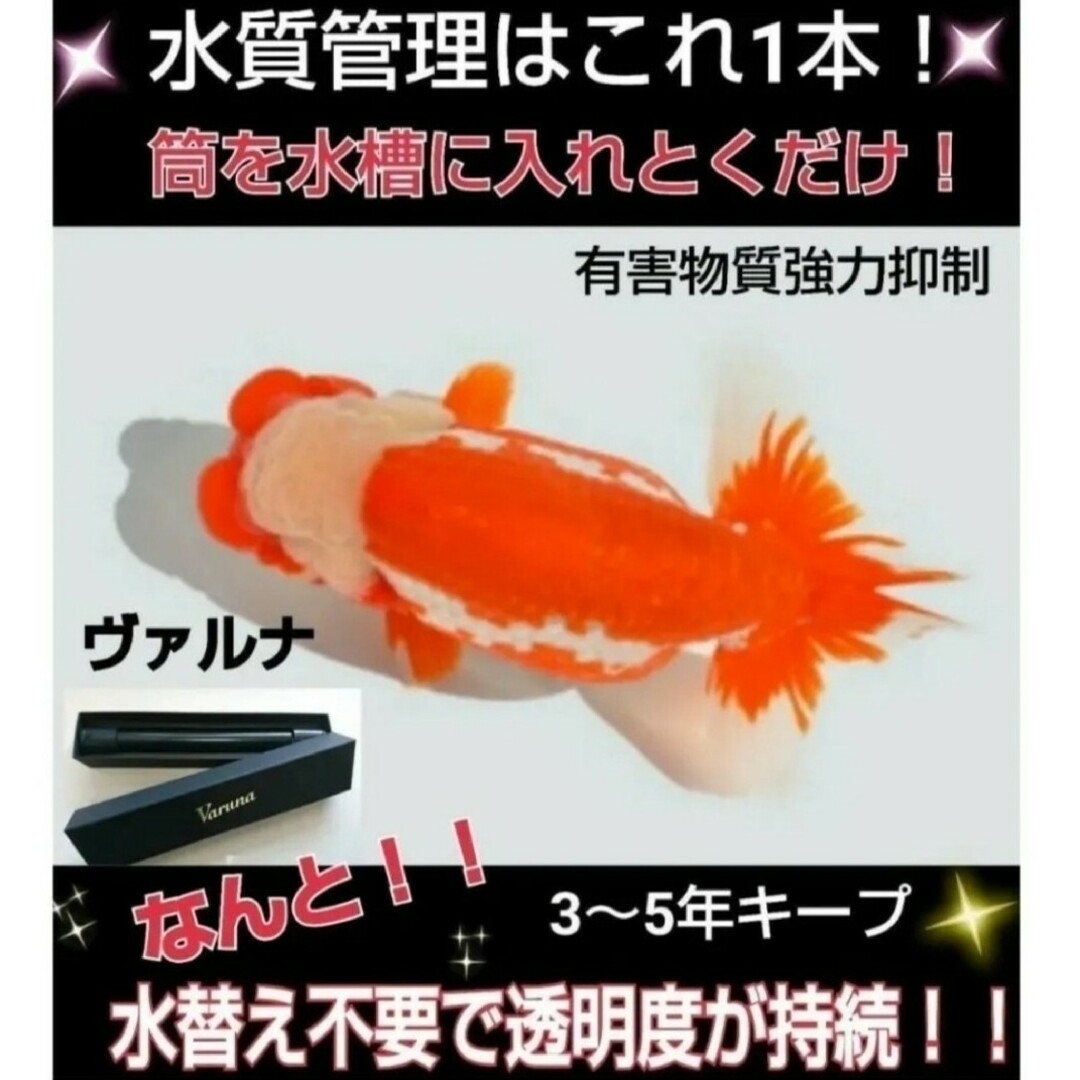 ヴァルナミニ8センチ水槽の透明度が抜群に！有害物質強力抑制！水替え