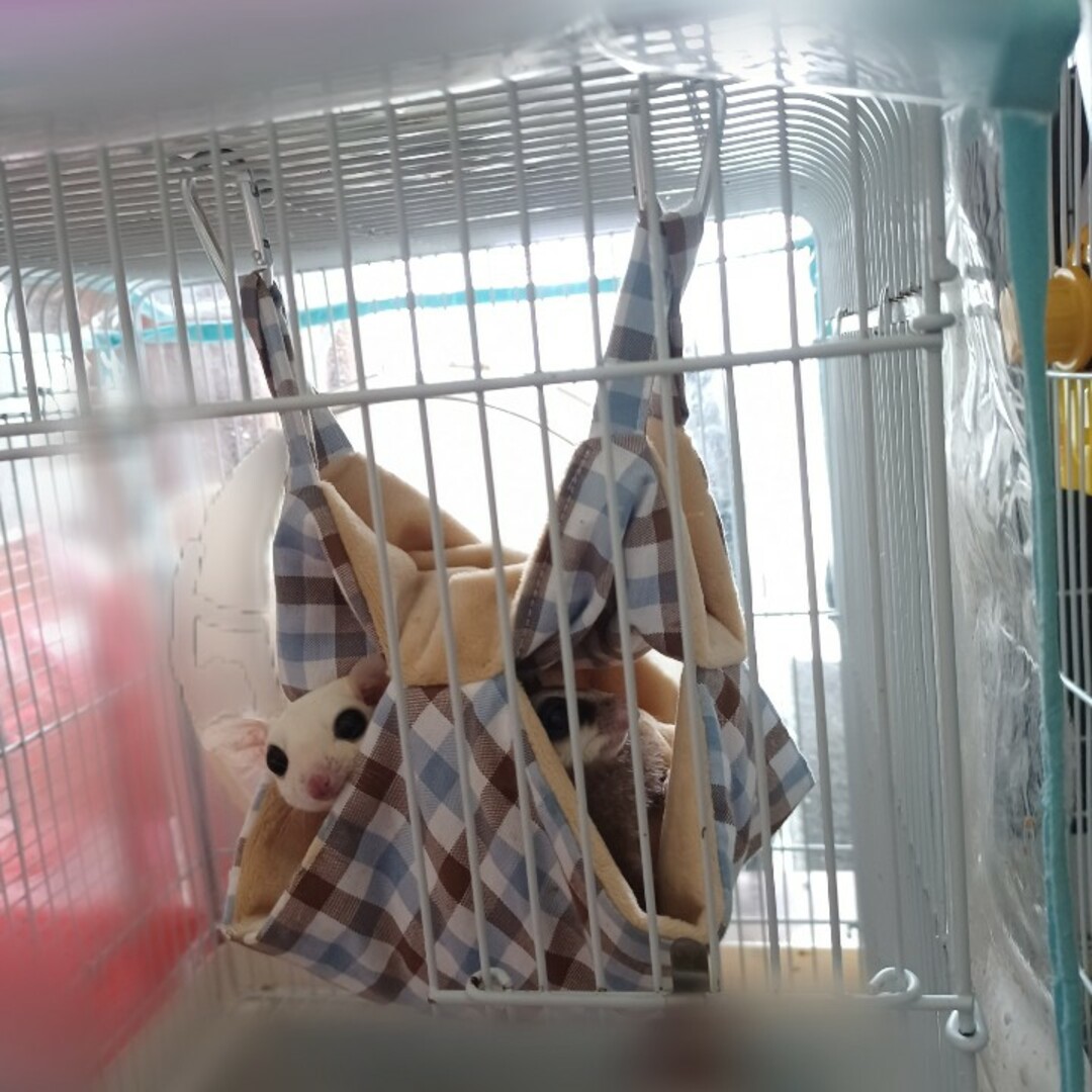 1～2モモ♡ハンモックブランコ♡モモンガポーチ ゆりかごポーチ