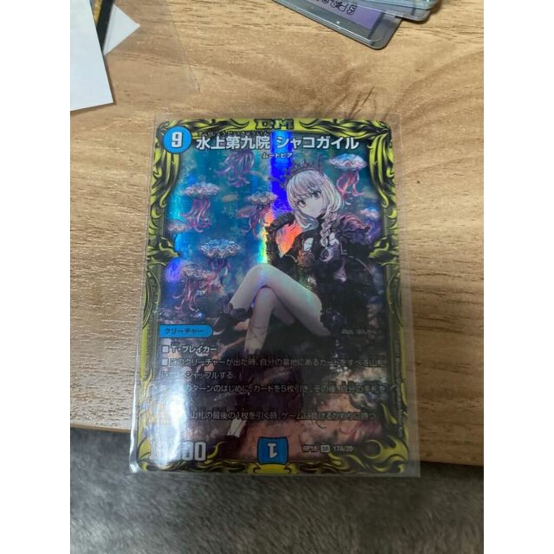 水上第九院シャコガイルA 2枚 水上第九院 シャコガイル 2枚 水上