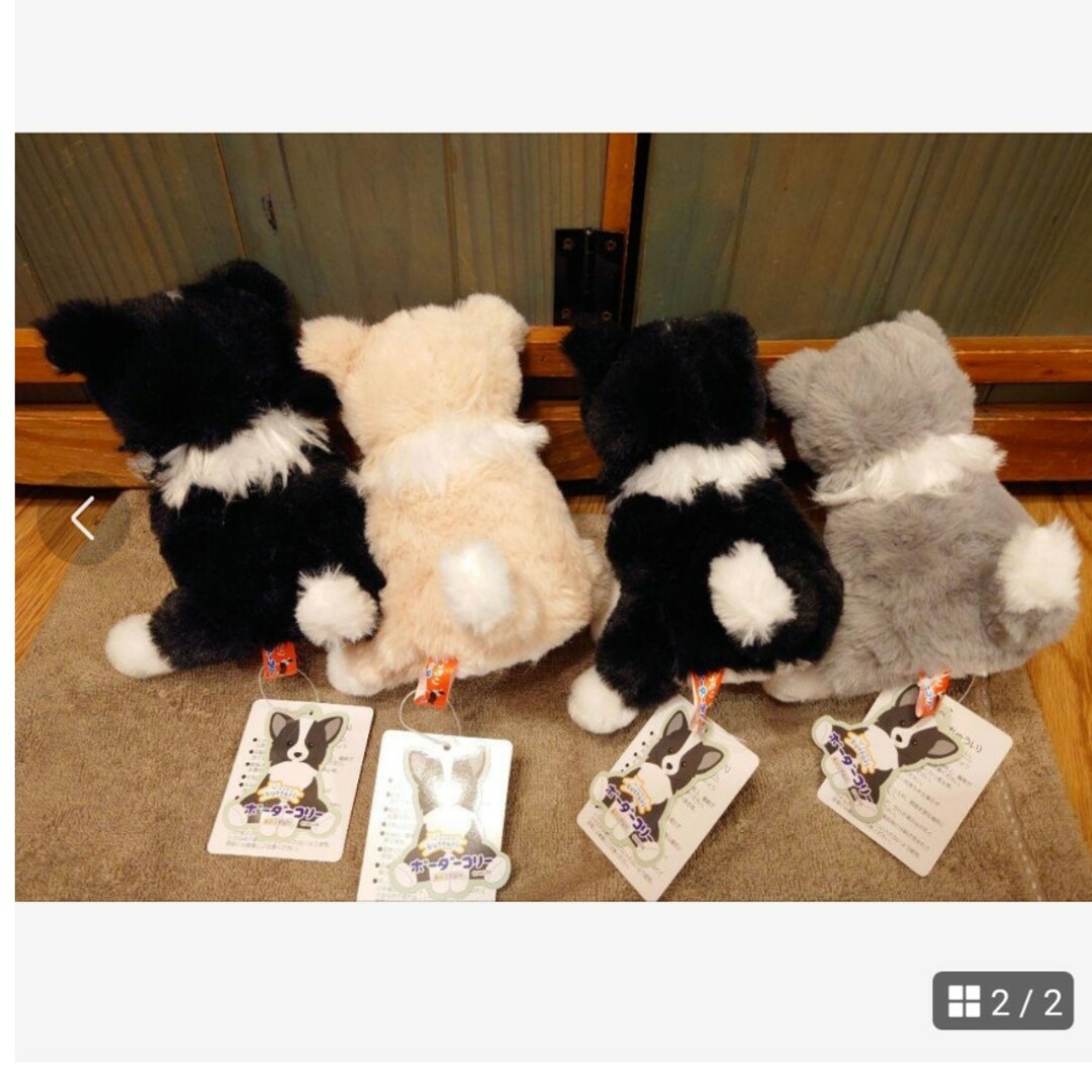 くったりボーダーコリー おりこうさん ノワール JB ≪4月の新商品