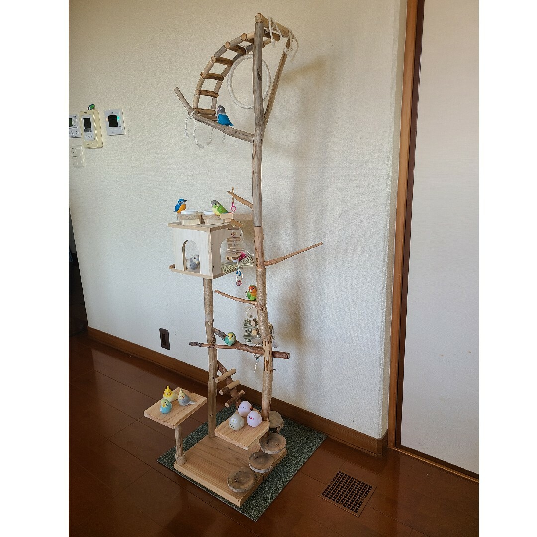 ⑥もちこオーダーページ バードアスレチック流木 ハンドメイド ⑥も