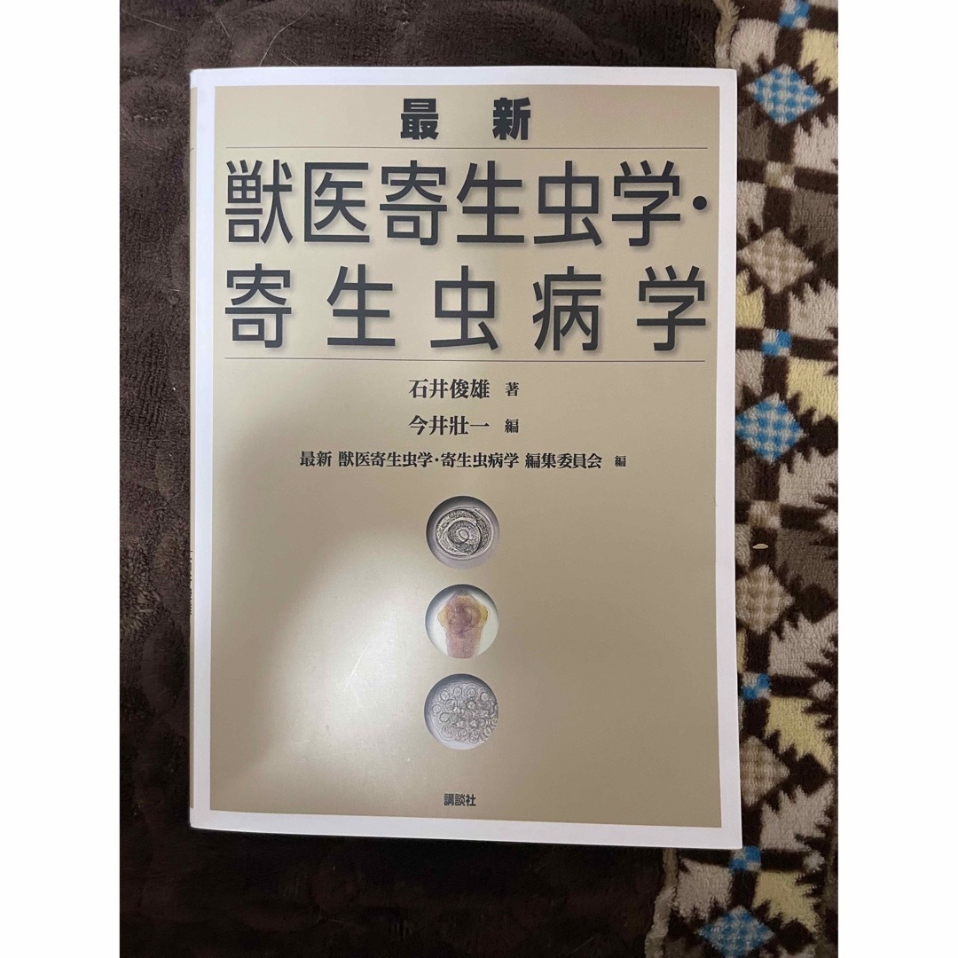 市場間分析入門 原油や金が上がれば、株やドルや債券は下がる！