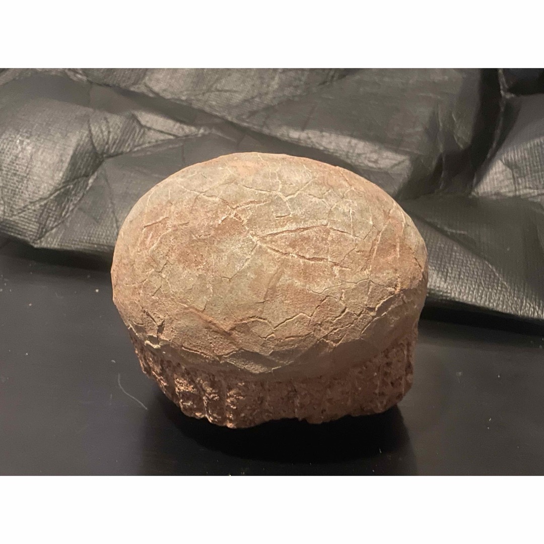 ☆【入手困難】恐竜の卵化石ハドロサウルスの卵の巣3個