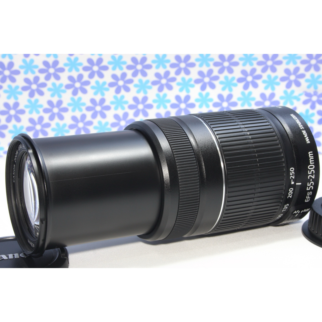 超望遠レンズ☆Canon EF-S 55-250mm IS II☆手振れ補正☆