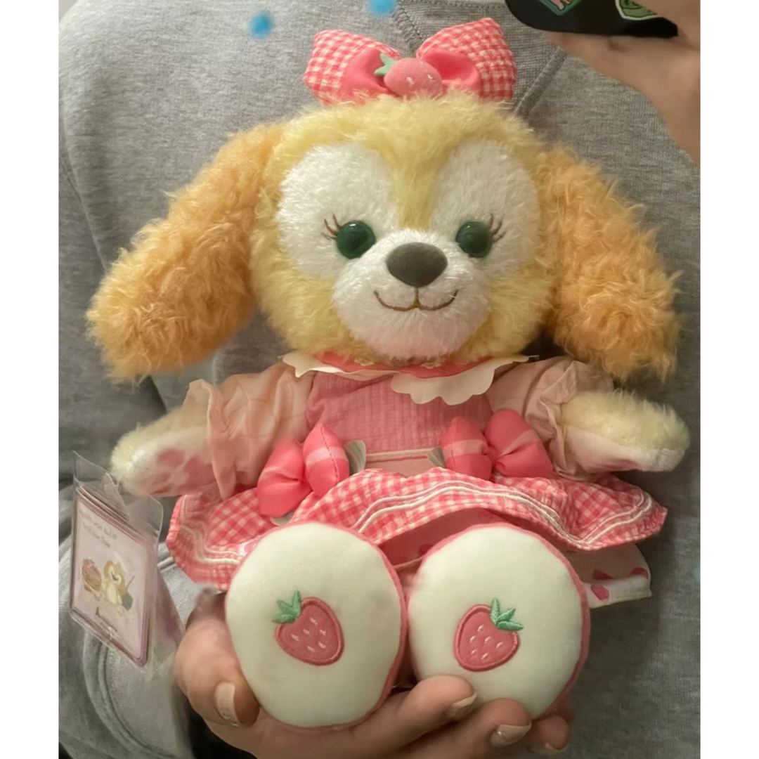 香港ディズニー 20周年 クッキーアン ぬいぐるみSS 激カワ❗️香港