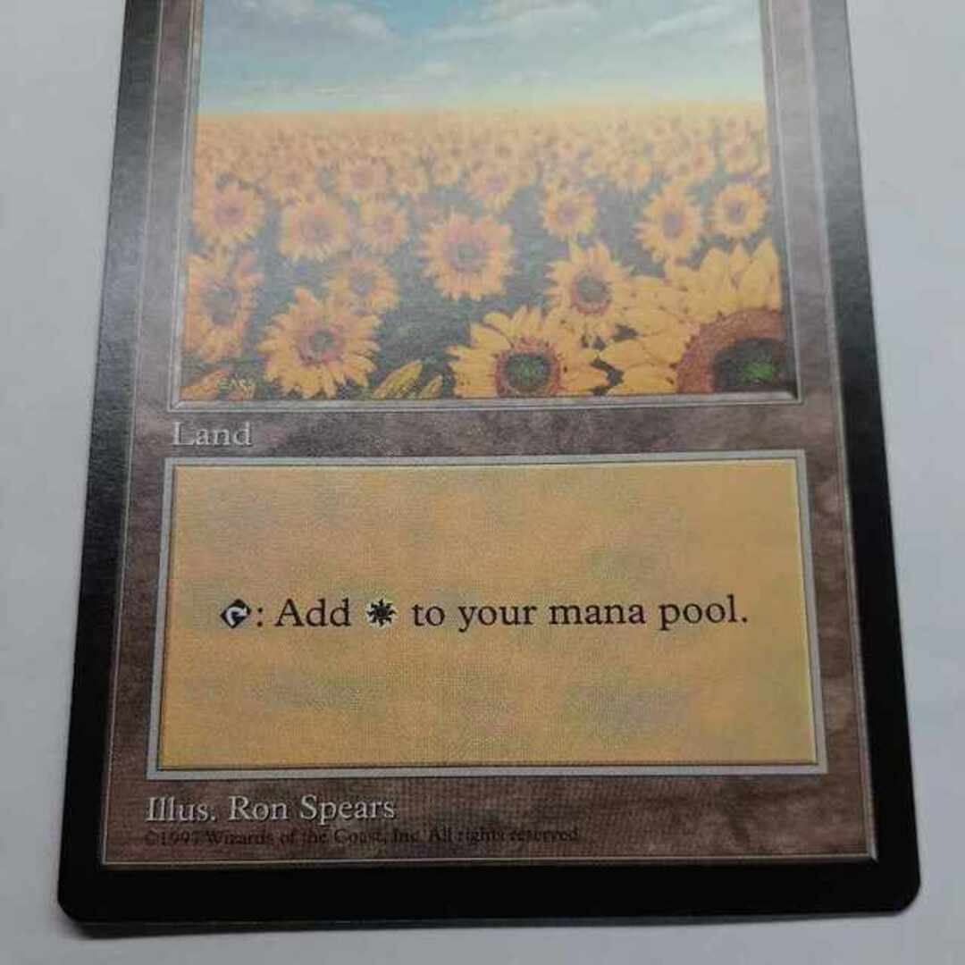 マジック：ザ・ギャザリング - MTG APACランド 5枚セット ひまわり平地