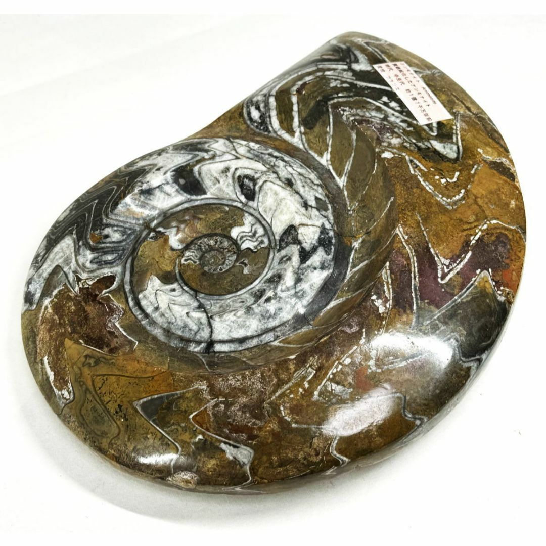 ハシモト アンモナイト化石 Amazon.co.jp: 母岩付き パイライト