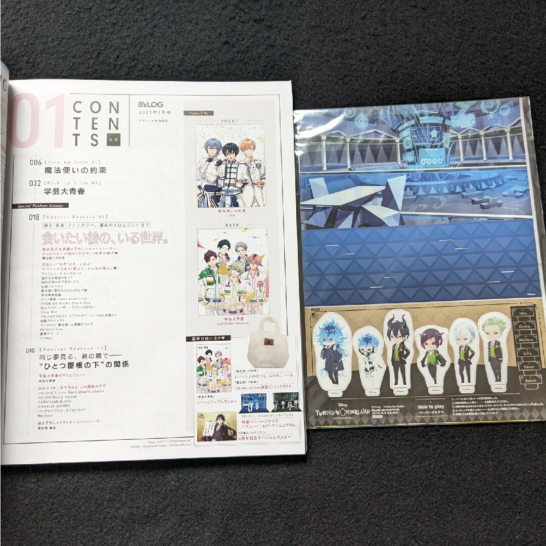 学芸大青春】グッズ まとめ売り 学芸大青春】グッズ まとめ売り
