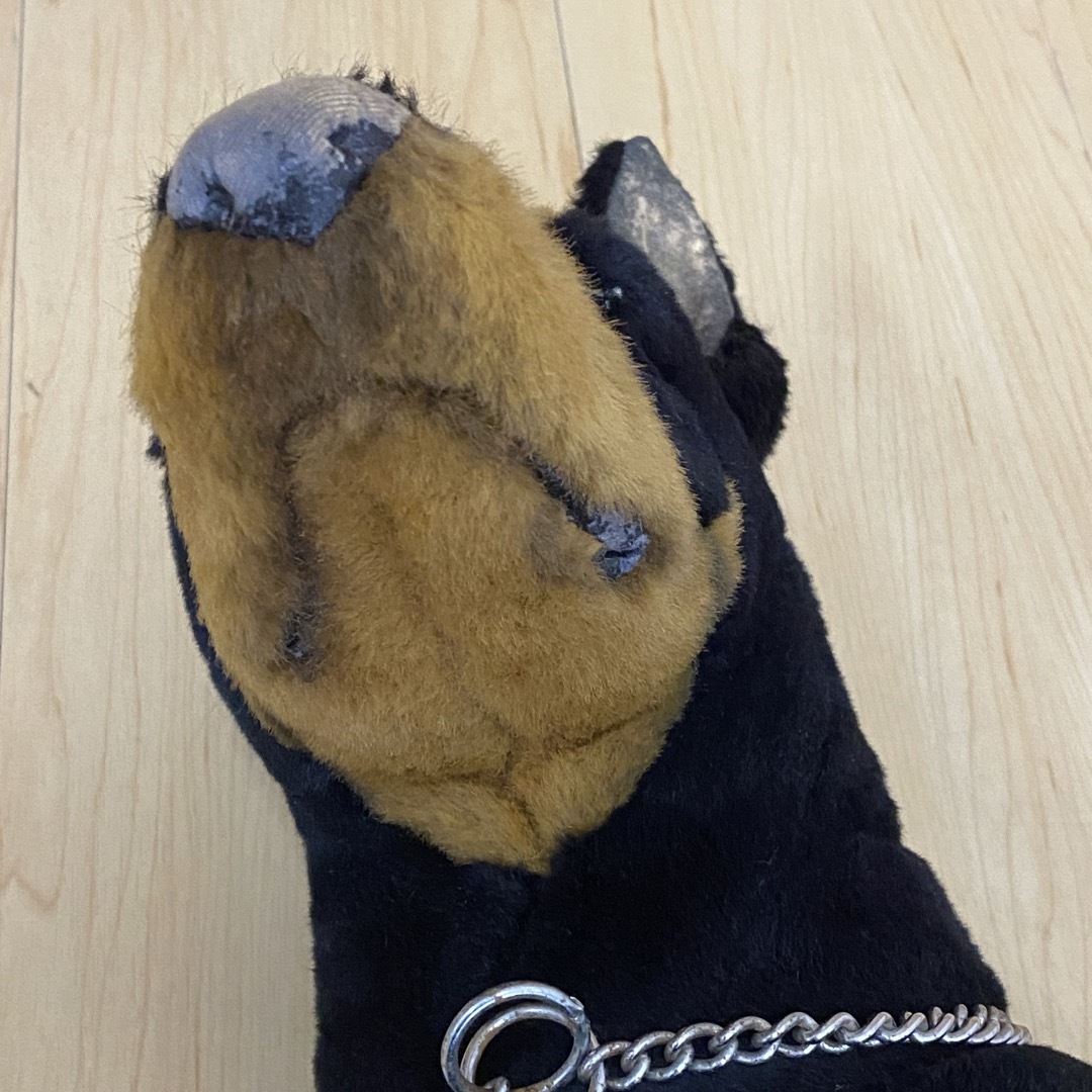 ジョックライン イタリア製 特大 ドーベルマン 座り ビッグサイズ no