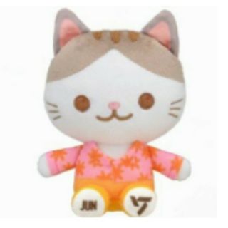SEVENTEEN セブチ ジュン アーティストメイド ぬいぐるみ ネコ