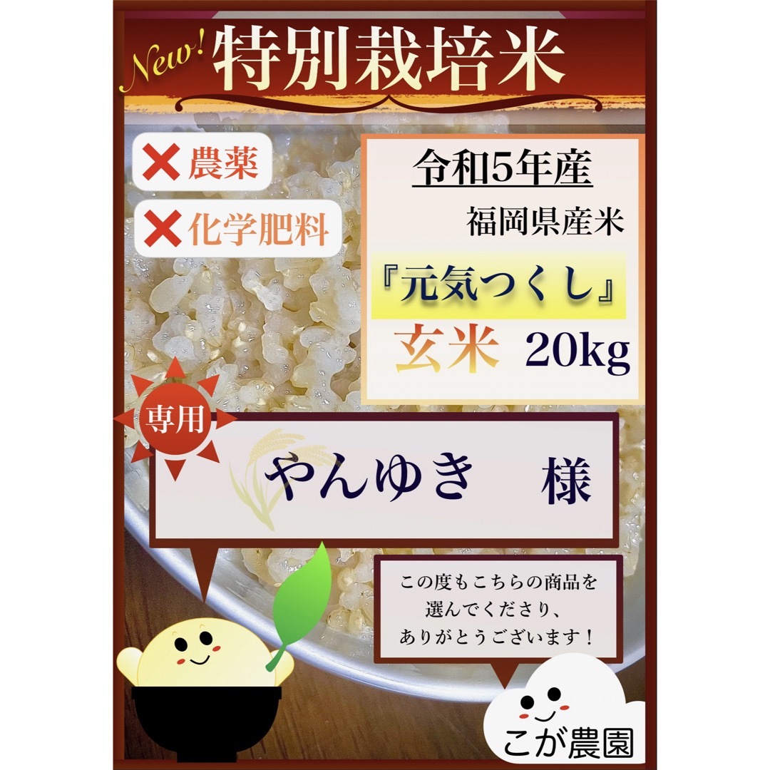 ショップ やんゆき様専用商品 福岡県産「元気つくし」令和5年産 玄米