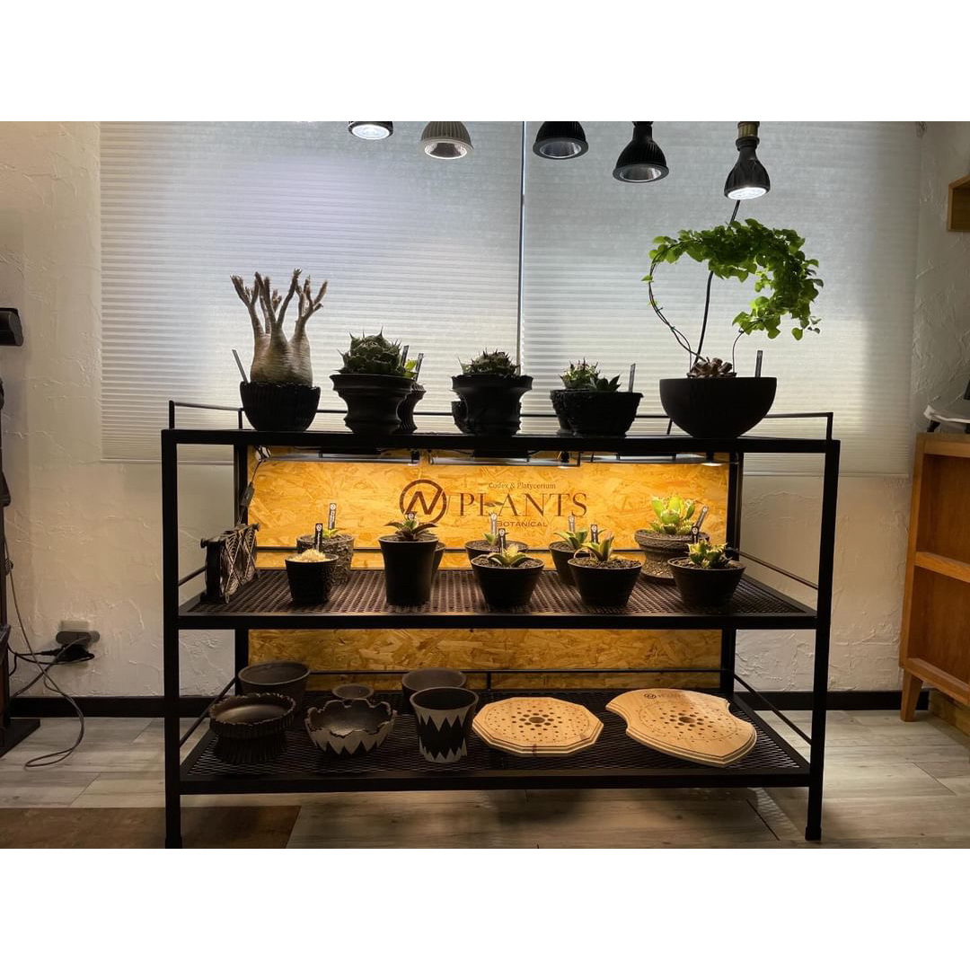 アイアンシェルフアイアンラック植物棚アガベ多肉植物ボタニカルシェルフ