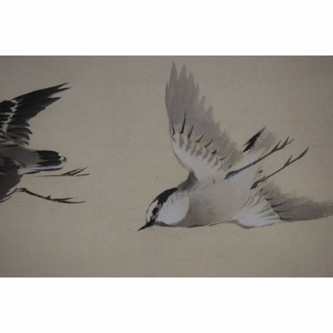 琴仙/月下千鳥図/群鳥図/掛軸☆宝船☆Z-383