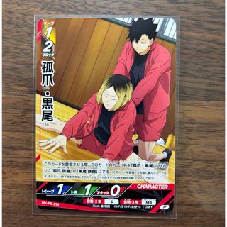逆襲のイズモと聖邪神の秘宝 スリーブ デュエマ 公式 イズモ