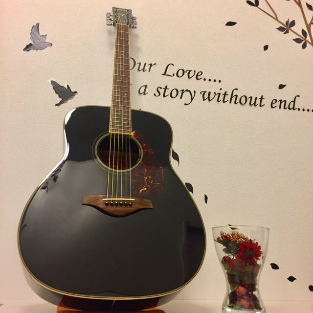 Leqtique Redemptionist 限定カラー ギター