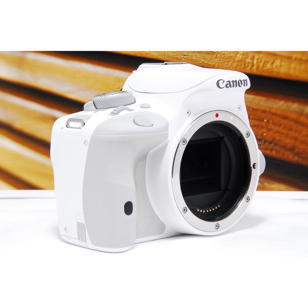 人気のホワイト！ Canon EOS kiss X7 スマホ転送 STMレンズ