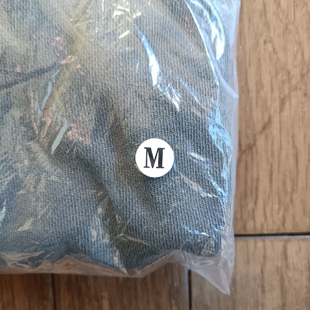 THIS IS JSB Hoodie SS ﾄﾚｰﾅｰ