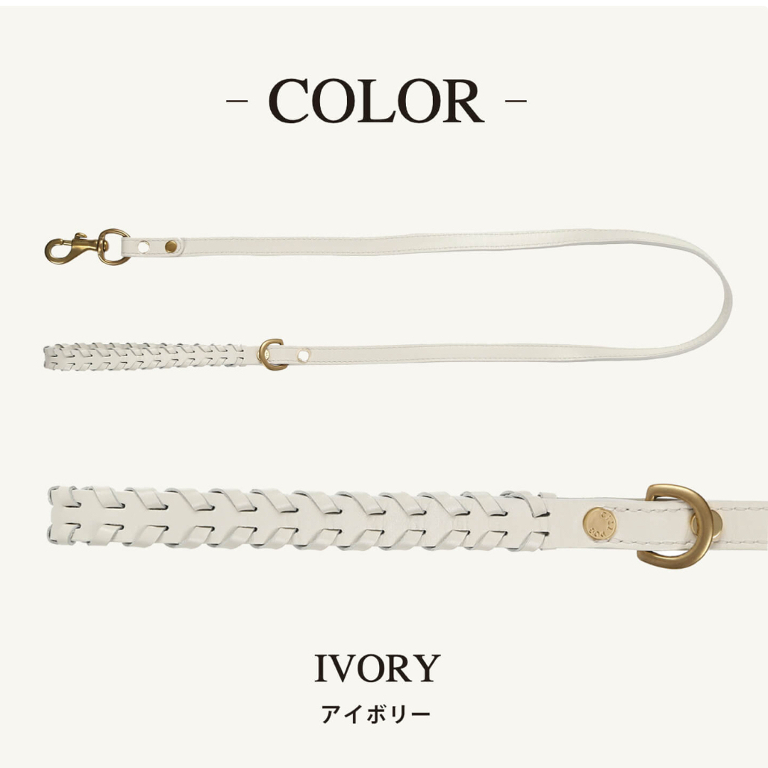 CITYDOG レザー ハーネスMサイズ&リードセット アイボリー