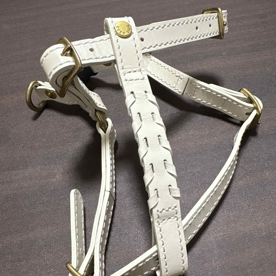 CITYDOG レザー ハーネスMサイズ&リードセット アイボリー