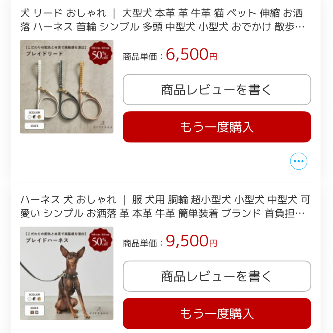 CITYDOG レザー ハーネスMサイズ&リードセット アイボリー