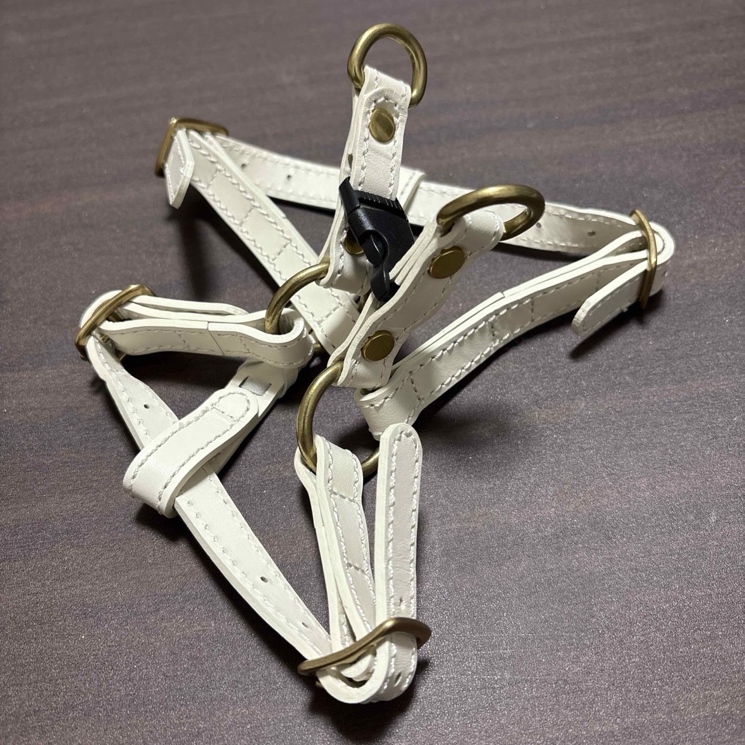 CITYDOG レザー ハーネスMサイズ&リードセット アイボリー