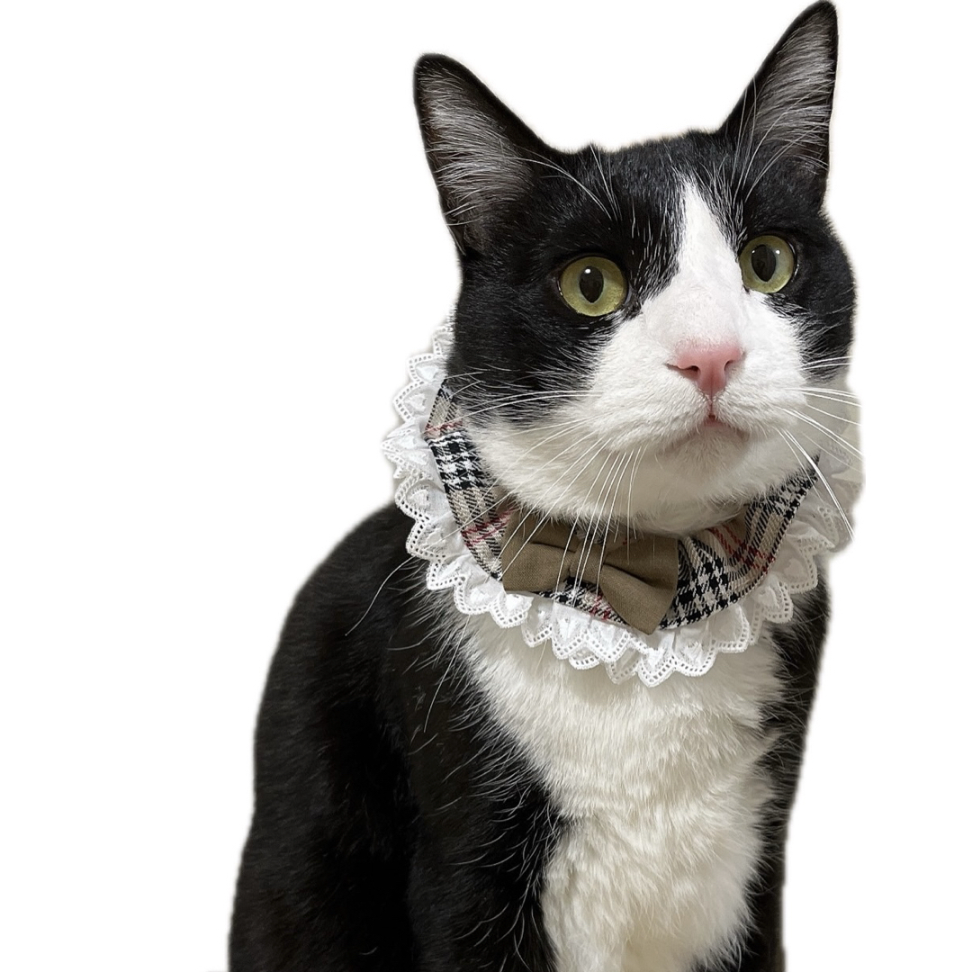 シュシュ首輪(ギンガムチェック 紫) No．155-500