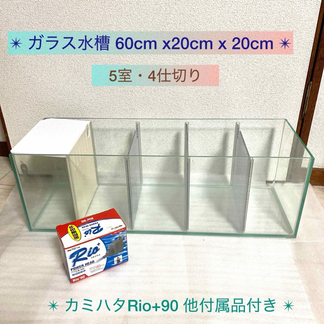 特注ガラス水槽・クリア・60×20×20cm 5室・4枚仕切り・Rioポンプ