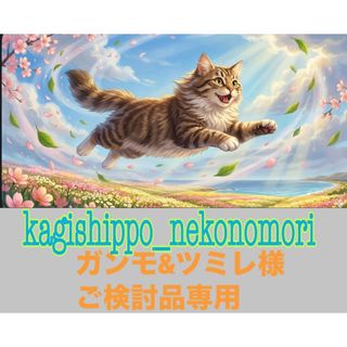 ROYAL CANIN - ロイヤルカナン猫腎臓サポート チキンテイストパウチ