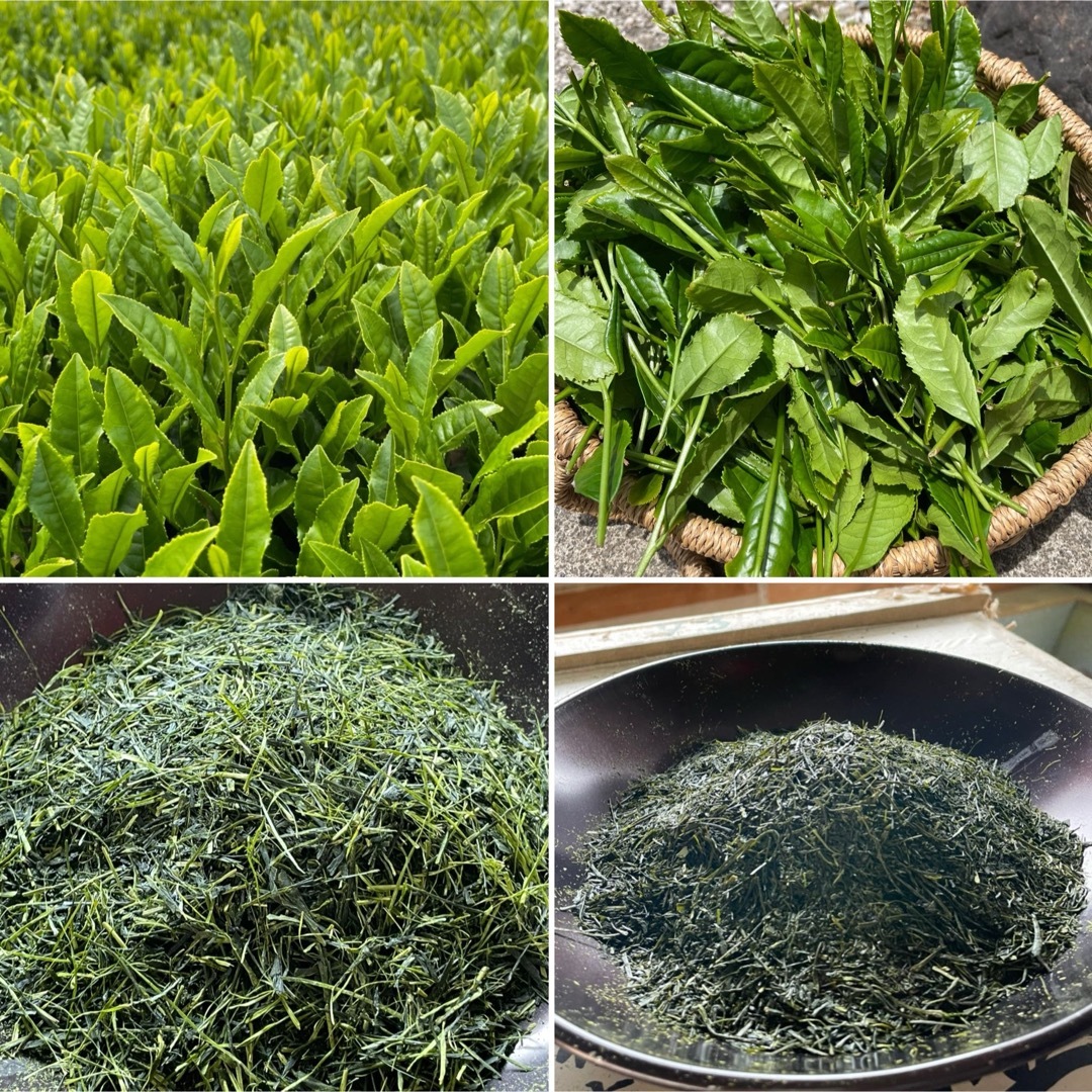 狭山茶】茶畑直販☆煎茶1袋(令7産)2.5kg一番茶☆