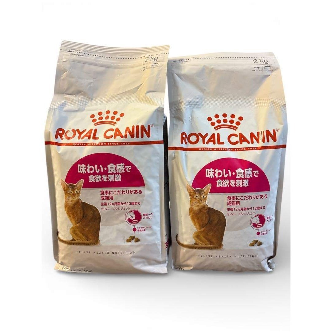 ROYAL CANIN - 【未開封】ロイヤルカナン セイバーエクシジェント 猫用