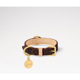 LOUIS VUITTON - 限定激レア未使用 ルイヴィトン モノグラム マルチ