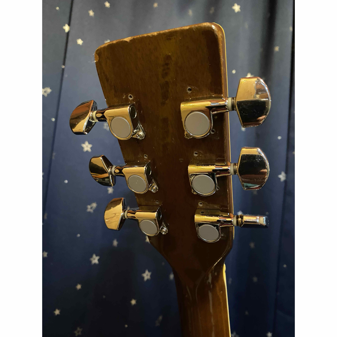 Greco - Greco F200 (エレアコ仕様)の通販 by 009's shop｜グレコなら