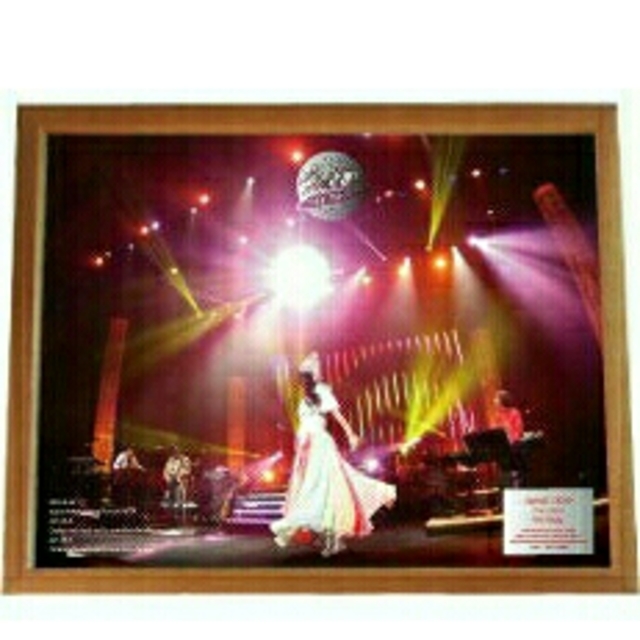 GARNET CROW ファイナルライブ写真額装 GARNET CROW 完全受注生産