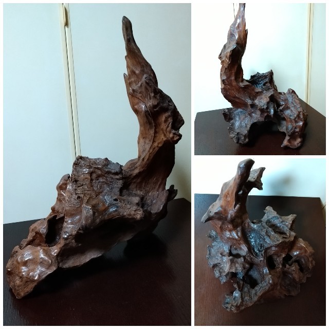 天然木 枯れ木 切り株 流木 オブジェ 床の間 飾り 希少 アート 天然木