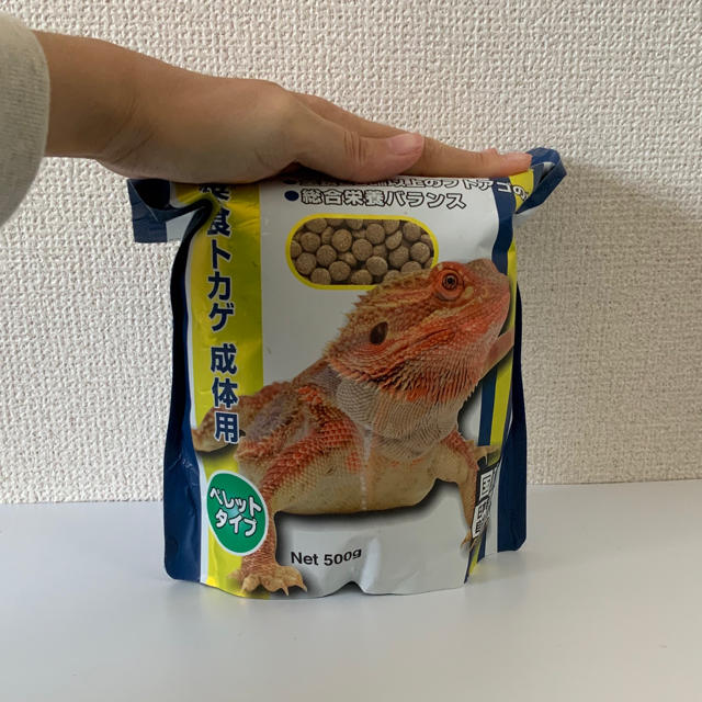 tokageさん専用とかげさん専用【爬虫類/ゲージ】パンテオンセット