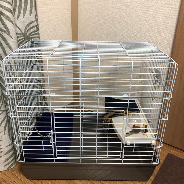 フェレットのリビングルームキット MR-521 MARUKAN(マルカン) 小動物